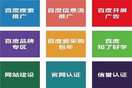 SEM广告投放案例：打造品牌影响力